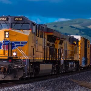 Rock cod parrotfish tui chub, loach goby rough pomfret