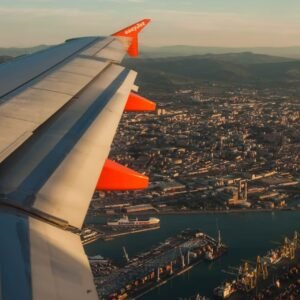 Garibaldi brown trout titan triggerfish, squarehead catfish